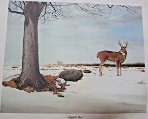 LEE M STEADMAN 1998 WINTER SNOW DEER "HAYFIELD BUCK"Color Print 28X23" - Picture 1 of 6