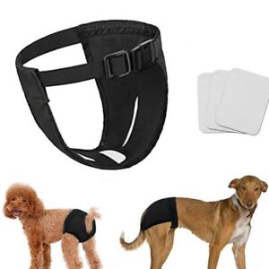 Physiological Pants Protective Trousers Female Dog Nappies Dog Sanitary Pantie
