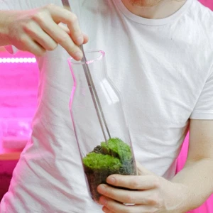 4 Pcs Simulated Moss Decoration Fake Grass Craft Miniature Landscape for Crafts - Picture 1 of 12