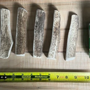 Elk Antler Dog Chews Treats MEDIUM 1/4's Bones Natural Organic Untreated 1 Pc - Picture 1 of 3