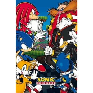 PÓSTER SEGA SONIC THE HEDGEHOG VS DOCTOR DR EGGMAN NUEVO 24X36 ENVÍO GRATUITO - Imagen 1 de 1