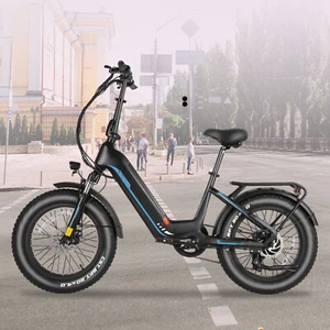 20" Fat Tire Electric Bike Peak 750W 48V 13AH Mountain Bicycle E-Bike Up to 60mi - Picture 1 of 71
