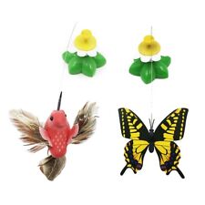 Striking farfalla e colibrì fluttuanti elettrici aggiungono fascino al giardino