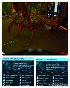 ark survival ascended pve SOLID ID79 MANTIS BREEDING PAIR LEVEL 315 - Picture 1 of 1