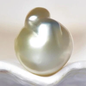 South Sea Pearl Bi-color Baroque 12.16 mm Maluku Indonesia 1.66 g undrilled - Picture 1 of 7