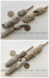 "6 rocas de tubo largo de 1/4"" de playa con agujeros naturales piedras de bruja víbora hada mística #X" - Imagen 1 de 15