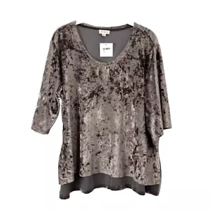NEW POL velvet short sleeve top blouse Size M mocha brown - Picture 1 of 6