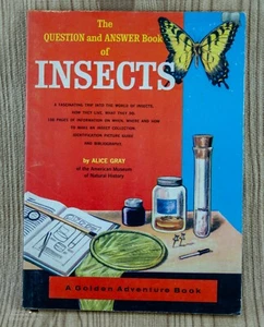 Vintage The Question and Answer Book of Insects 1963 A Golden Adventure Book - Picture 1 of 11