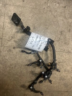 Dodge Journey 2013 3,6 V6 arnés inyector  Foto 1 de 4