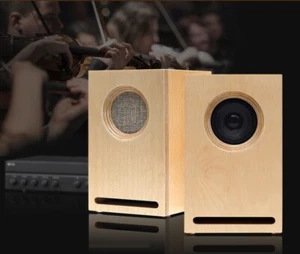 Arche Audio FR2 Semi-Horn-Loaded Speaker - Picture 1 of 12