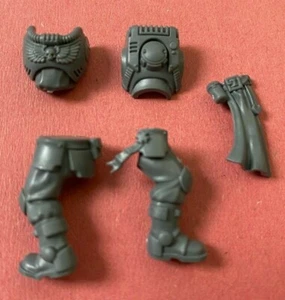 Black Templar Primaris Marine Crusader NEOPHYTE TORSO & LEGS (B) - Bits 40K - Picture 1 of 2