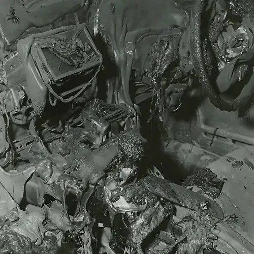 The Great Calm - Bild 1 von 1