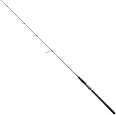 Varillas de jigging DAIWA Saltiga HI/LO/MD/TG J60S-2 HI Foto 1 de 4