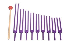 NUEVO PÚRPURA 9 piezas Divisores de afinación Solfeo Sagrado Sintonizadores para terapia de curación mazo - Imagen 1 de 5