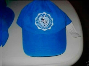 NUEVO CON ETIQUETAS GORRA ÁGUILA AMERICANA SOMBRERO TALLA ÚNICA ROJO O AZUL REAL ELECCIÓN - Imagen 1 de 3