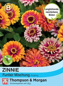 Zinnie 'Miscela Funfair' - Zinnia elegans, Salice delle api, Semi, 4905 - Foto 1 di 2
