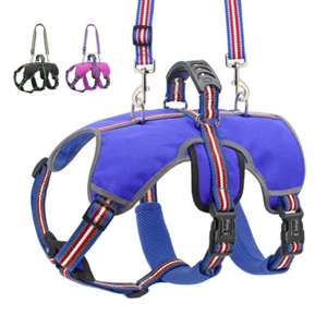 Nylon Reflective Dog Lift Harness and Lead Escape Proof Padded Sport Vest S-XL - Picture 1 of 21