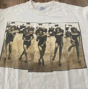CAMISA PROMOCIONAL VINTAGE 1996 TINA TURNER HANES WILDEST DREAMS GIRA DE CONCIERTOS X-GRANDE - Imagen 1 de 11