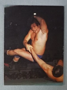 1976 Yamakatsu All Japan Wrestling Terry Funk WWE ECW WCWWWF - Bild 1 von 2