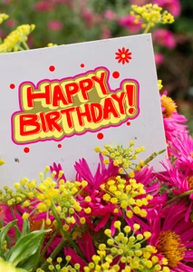 BRIGHT FLOWERS - Christian/ Religious Birthday Card - Big 5" x 7" Card - Picture 1 of 3