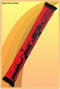 Schal Bayer 04 Leverkusen Logo Löwe Skyline Fanartikel Wendeschal Gr. 150x19cm - Bild 1 von 1