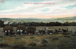 WALPOLE NH BASTELN HEU MIT PFERDEN AUF MAURERFARM um 1910 POSTKARTE 080525 U - Bild 1 von 2