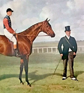 EMIL ADAM NUMBERED LTD ED "PERSIMMON" THOROUGHBRED EQUESTRIAN HORSE JOCKEY PRINT - Picture 1 of 19