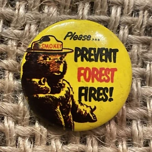 Vintage Green Duck Co Please Prevent Fires Smokey The Bear Button Pin - Picture 1 of 5