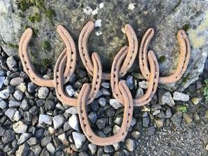 HORSESHOE Genuine 6 x USED RUSTY steel crafts hobbies Good Luck wedding shed - Picture 1 of 10