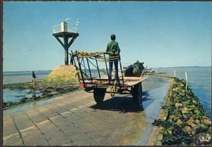 85 NOIRMOUTIER CARTE POSTALE PASSAGE DU GOIS ATTELAGE AVEC CHEVAL - Imagen 1 de 1