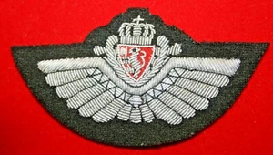 EXCELENTE COPIA SEGUNDA GUERRA MUNDIAL ALAMBRE LINGOTE ALA DE PILOTO DE LA FUERZA AÉREA NORUEGA NORUEGA CON RAF - Imagen 1 de 1