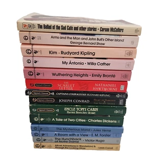 Lot of 14 Paperback Classics Bantam Signet Dickens Hawthorne Kipling Bronte More - Foto 1 di 6