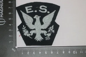 INSIGNIA PARCHE DE TELA SQDN PILOTOS DE LA FUERZA AÉREA DE LA SEGUNDA GUERRA MUNDIAL EE. UU./CANADIENSE EN RAF ESCUADRÓN ÁGUILA - Imagen 1 de 1