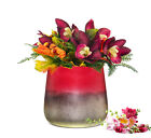 2 x Blumenvase Barbara Tischvase Glasvase Blumentopf Pflanztopf Dekovase Vase