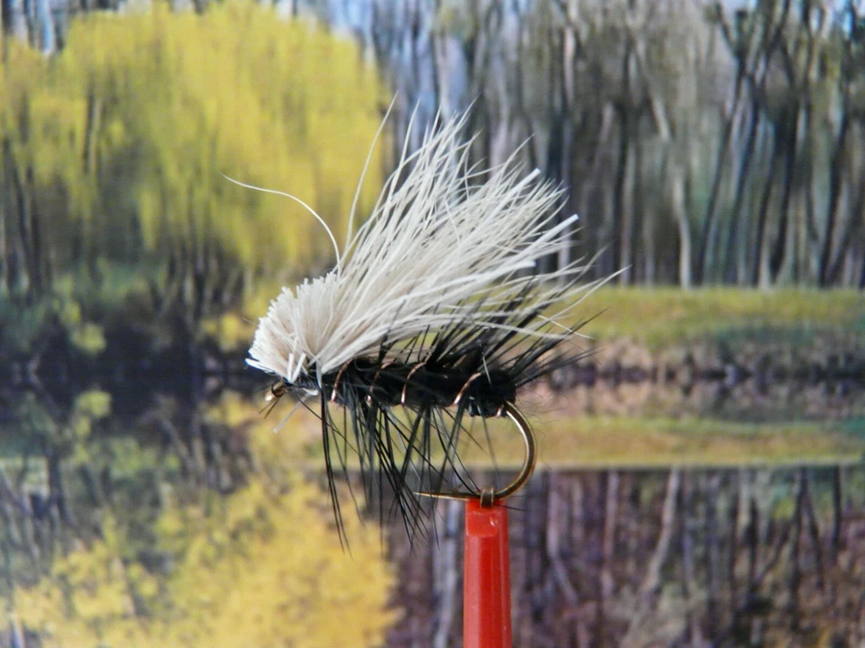 Trockenfliege " Elk Caddis Black "  3er Set - Bild 1 von 1