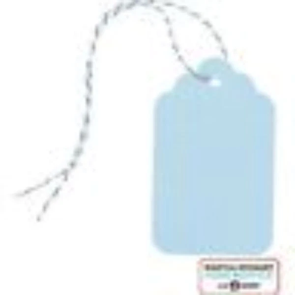 Martha Stewart 11863 Home Office With Avery Large Paper Tags With String 36 Ct