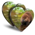 2x Heart MDF Coasters - North American Beaver Kit Baby  #15569