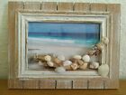 SHELLS On Driftwood 3D ART on Brown Whitewashed Frame