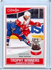 2010-11 O-Pee-Chee Trophy Winners #TW7 Pavel Datsyuk