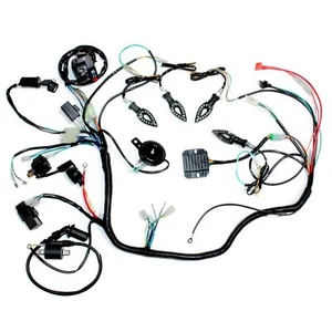 Arnés de cableado de motor de arranque eléctrico telar + luz 150cc 250cc cuádruple bicicleta todo terreno buggy - Imagen 1 de 12