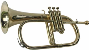 Flugel horn brass finish BB pitch with Hard case And Mouthpiece - Picture 1 of 6