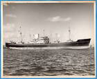1940-50S Steamship Freighter Ss Morelia Original 8X10 Photo