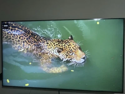 Sony XBR65X900F 65" 2160p 4K HDR UHD LED Smart TV- in excellent condition!  - Image 1 of 4