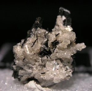 RARE EUDIDYMITE on AEGIRINE Crystals Fine Mineral Specimen Mont Saint Hilaire - Picture 1 of 5