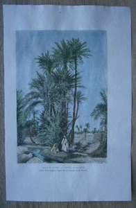 1886 Impresión Reclus KUFRA OASIS, LIBIA (#3) - Imagen 1 de 1
