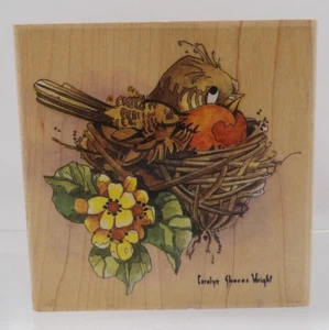 Estampillas de Robin #60043 suceden NC por Carolyn Shores Wright - Imagen 1 de 2