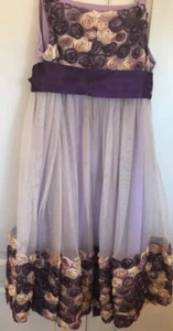 Iris & Ivy Ribbon Roses Sleeveless Party Wedding Dress Girls Size 12 - Picture 1 of 6