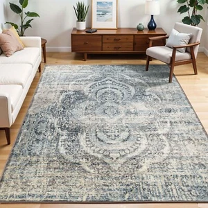 Salford Floral Medallion Abstract Distressed Stain Resistant Indoor Area Rug - Picture 1 of 21