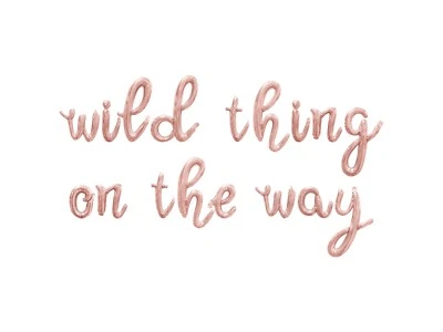 WILD THING ON THE WAY Cursive Letter Balloon Banner - Birthday Party Decorations - Image 1 of 4
