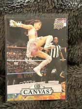 2023 AEW Riho UD Canvas #C62 All Elite Wrestling Upper Deck Insert